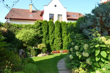 Peyzaj tasarımı, güzel bitki çalılar, çiçekler ve ağaçlar