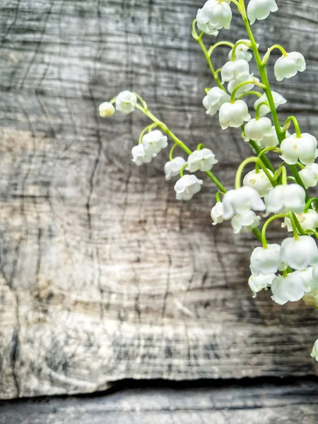 Wooden background and tender lilies of the valley