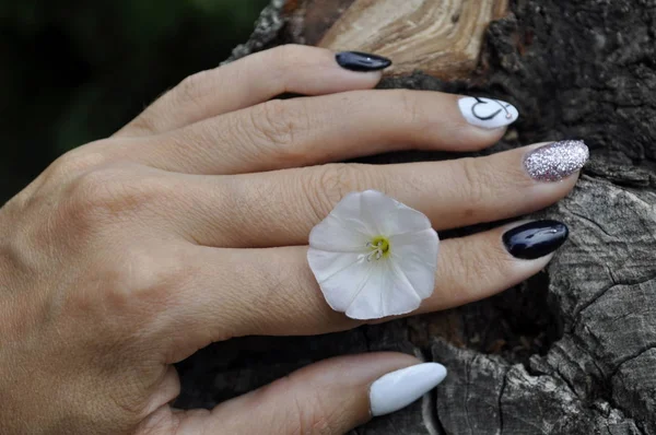 Manicure in black and white color with a heart on a nameless in a romantic style. Hand nails
