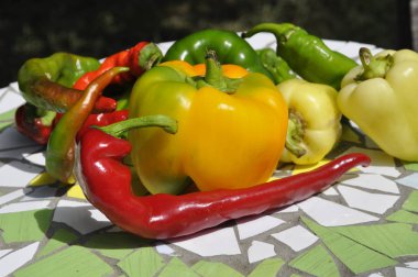 Meksika sıcak biber renkli karışımı 