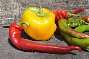 Meksika sıcak biber renkli karışımı 