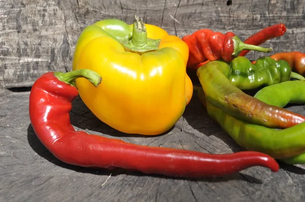 Mexicaanse Hete Chilipepers Kleurrijke Mix — Stockfoto