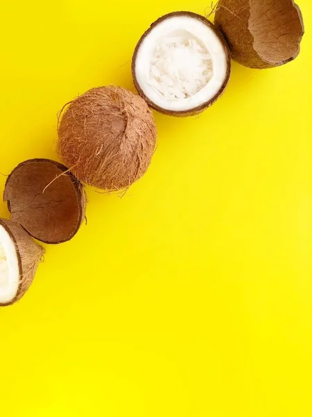 Noix de coco mûres disposées en rangée verticalement sur un fond jaune vif . — Photo