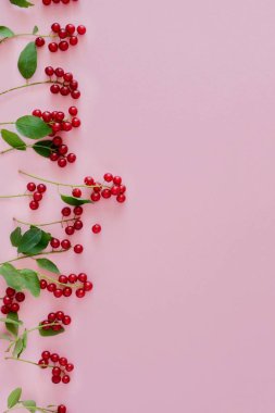 Metin için kopya alanı ile bir pastel pembe arka plan üzerinde dikey bir satırda küçük sulu kırmızı meyveler. Üst görünüm, düz yatıyordu.