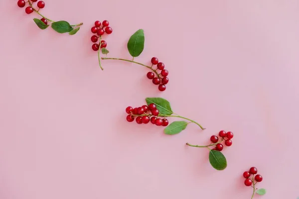 Pequenas bagas vermelhas suculentas em uma linha diagonalmente em um fundo rosa pastel com espaço de cópia de texto. Vista superior, flat lay . — Fotografia de Stock