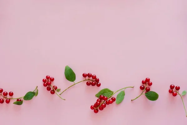 Małe soczyste czerwone jagody w rzędzie poziomo na pastelowe różowe tło z kopią miejsca na tekst. Widok z góry, płaski lay. — Zdjęcie stockowe