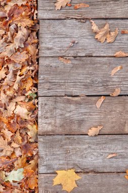Ahşap bir arka planda düşmüş, sararmış sonbahar yaprakları, masa. Düşen yapraklar doğal arkaplan. Seçici odak ile, metin için boşluk.