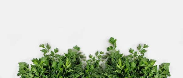 Egy Nagy Rakás Friss Organikus Zöld Petrezselyem Kapor Fehér Alapon — Stock Fotó