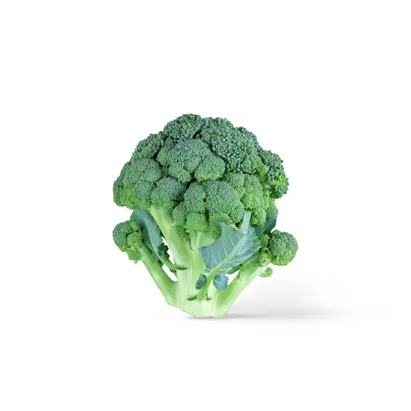 白い背景に柔らかい影が隔離されたブロッコリーの頭 新鮮さ ダイエットのための緑の健康野菜の概念 — ストック写真