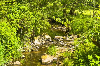 Gün ışığında ilkbaharda duran küçük Bavyera nehri