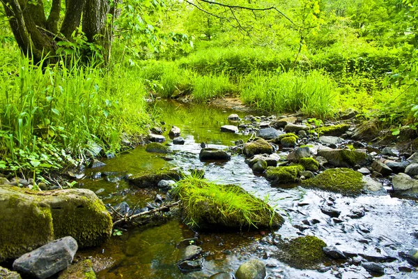 Piccolo fiume lento che scorre in Baviera in primavera — Foto Stock