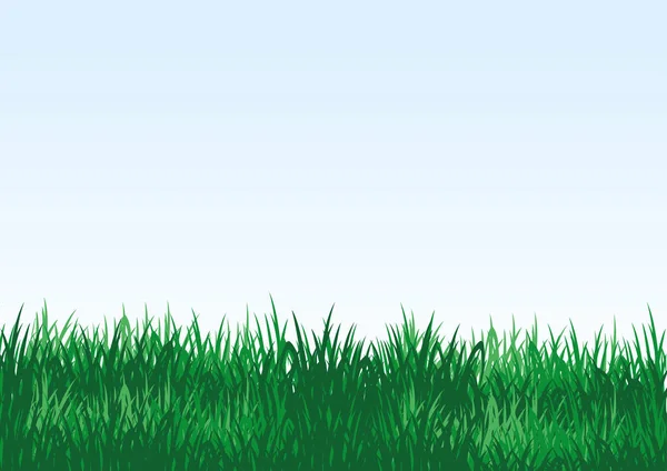 绿色的草在蓝色背景与文本的空间 — 图库矢量图片