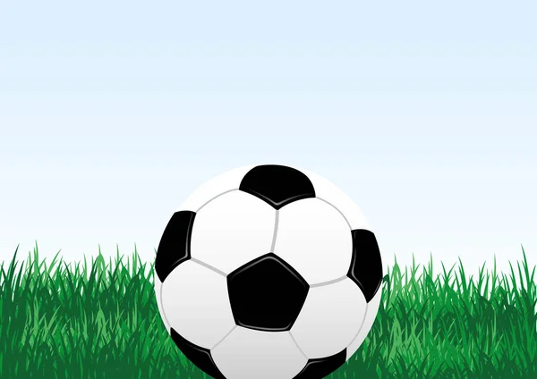 Ballon Football Herbe Verte Sur Fond Bleu — Image vectorielle