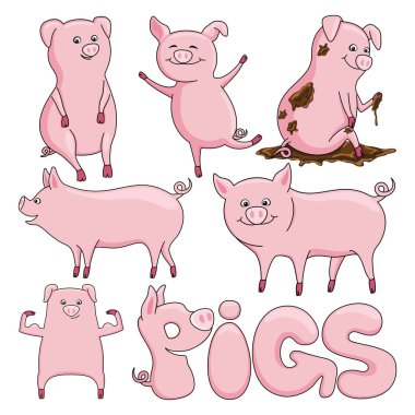 Beyaz bir arka plan üzerinde şirin domuz kümesi.