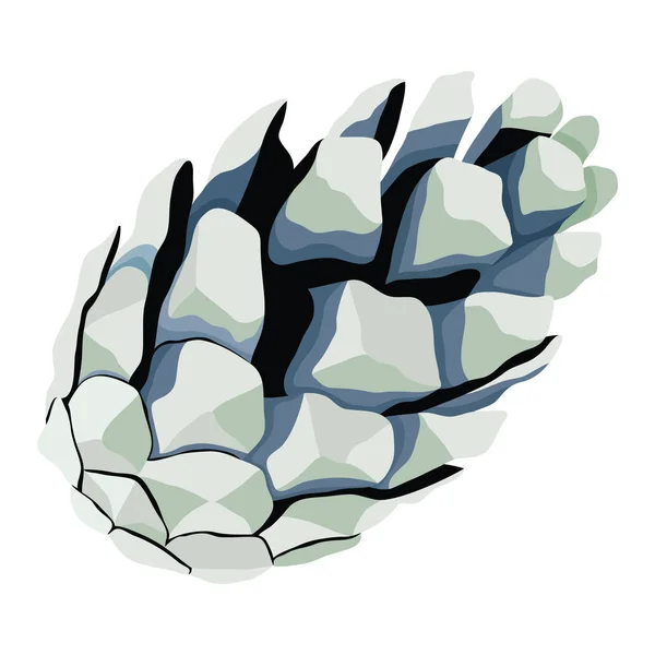 Beau Cône Pin Sur Fond Blanc — Image vectorielle