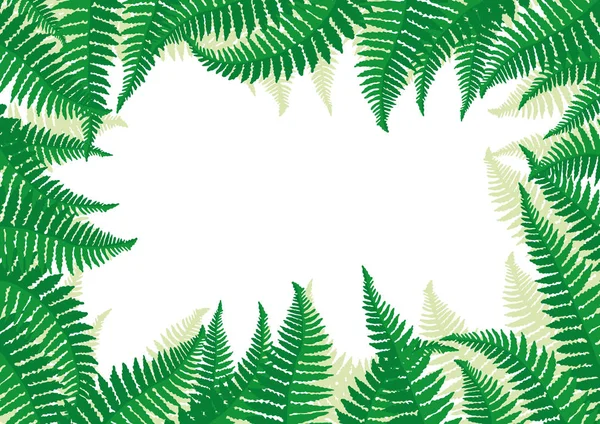 Cadre Feuilles Fougère Sur Fond Blanc — Image vectorielle