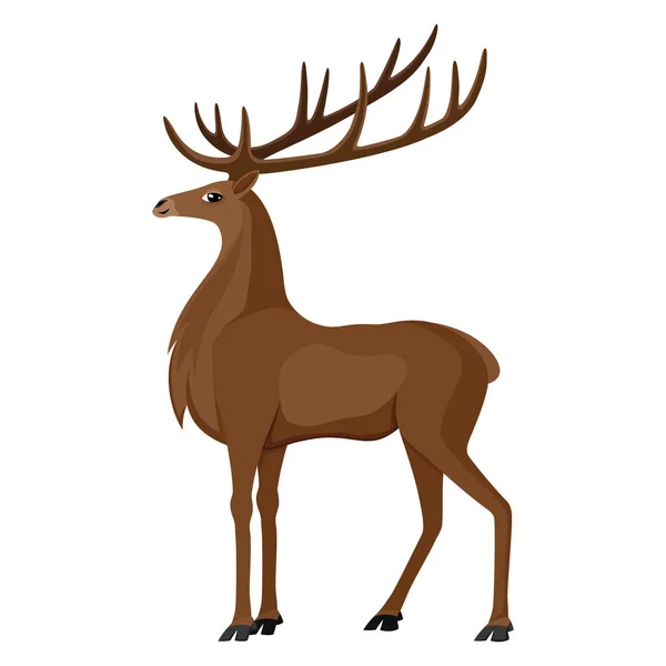 Deer Beautiful Horns White Background — Stock Vector