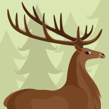 Ormanda güzel boynuzları ile geyik.