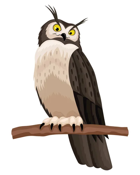 Owl Sitting Branch White Background — Stock Vector
