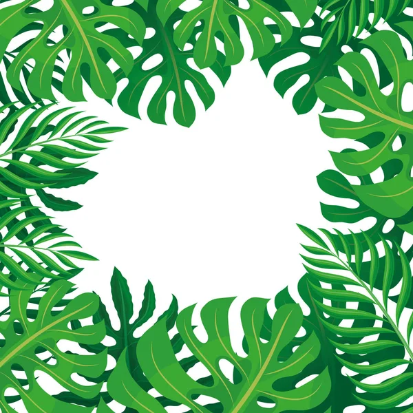 Cadre Feuilles Tropicales Sur Fond Blanc — Image vectorielle