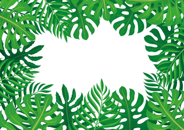 Cadre Feuilles Tropicales Sur Fond Blanc — Image vectorielle