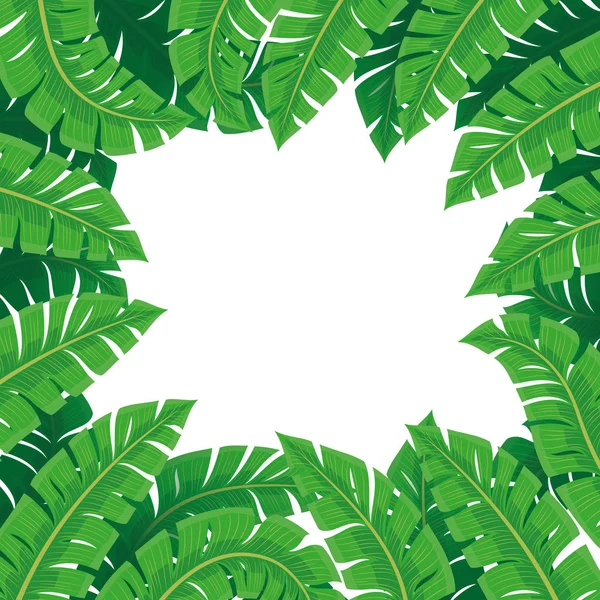 Beyaz Arka Plan Üzerinde Tropikal Yaprakların Çerçevesi — Stok Vektör