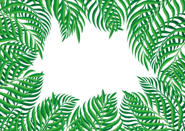 Cadre Feuilles Tropicales Sur Fond Blanc — Image vectorielle