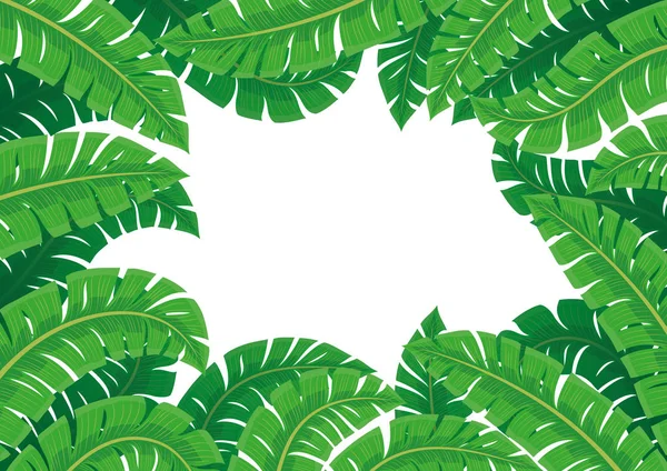 Beyaz Arka Plan Üzerinde Tropikal Yaprakların Çerçevesi — Stok Vektör