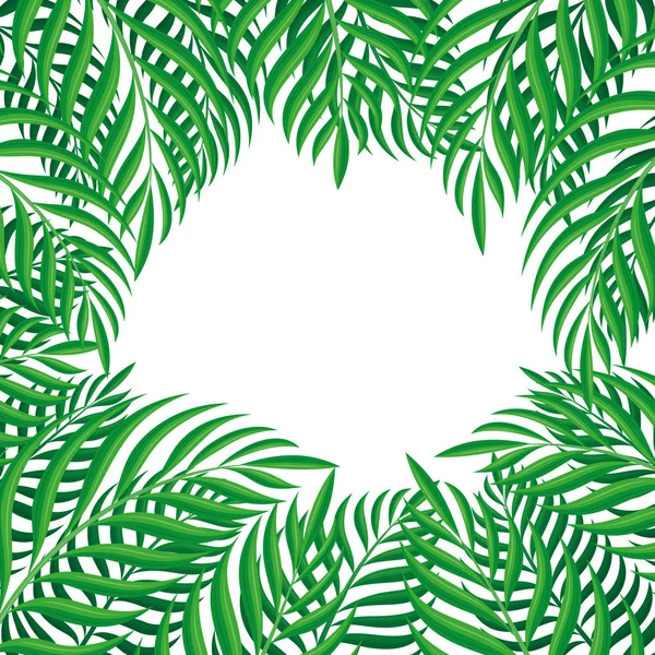 Cadre Feuilles Tropicales Sur Fond Blanc — Image vectorielle