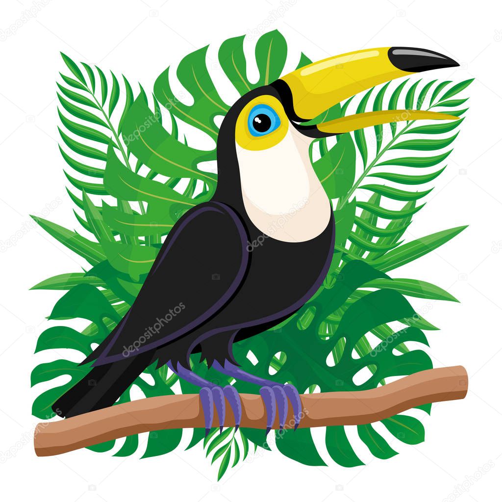 Toucan bird sitting on a branch on the background of tropical leaves.