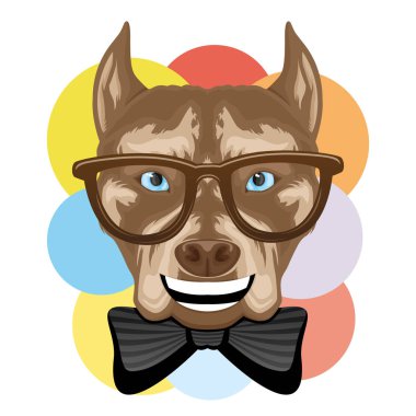 Beyaz bir arka plan üzerinde gözlük ve renkli daireler komik pitbull terrier köpek.