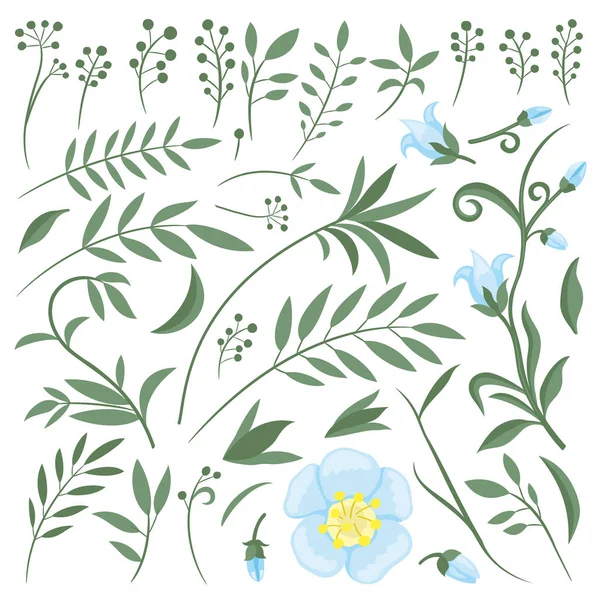 Beyaz Bir Arka Plan Üzerinde Bitki Elemanları Çiçek Organik Seti — Stok Vektör