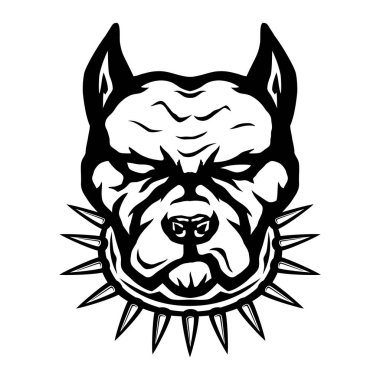 Beyaz arka planda siyah köpek cinsi pitbull teriyeri..
