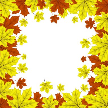 Beyaz arkaplanda akçaağaç yaprakları çerçevesi.