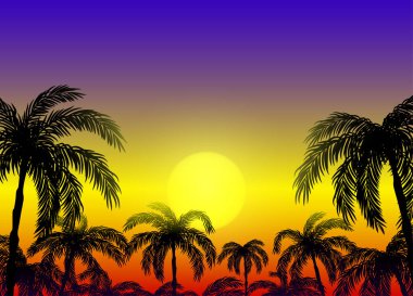 Güzel bir günbatımının arka planında palmiye ağaçlarının siluetleri olan bir resim..