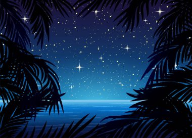 Okyanusun arka planında palmiye yaprakları olan bir resim ve gece yıldızlı gökyüzü..