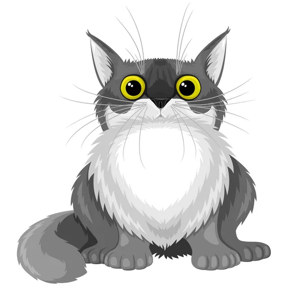 Söt Grå Fluffig Katt Vit Bakgrund — Stock vektor