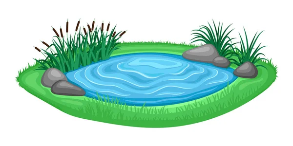 白地に美しい池と葦のイラスト — ストックベクタ