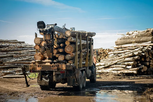 Lastbil som transporterar trä — Stockfoto