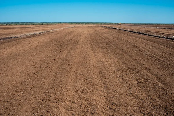 Peat agricultural field — Stock Photo, Image