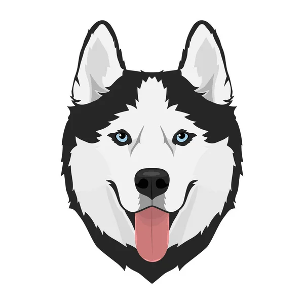 Tête de chien Husky — Image vectorielle