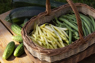 Çiğ yeşil yemek. Sağlıklı vejetaryen gıda konsepti, detoks diyeti için taze yeşil gıda seçimi