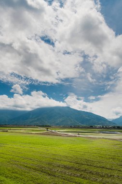 Birçok turist alan yollarda elektrikli üç tekerlekli bisiklete binmek. Pey