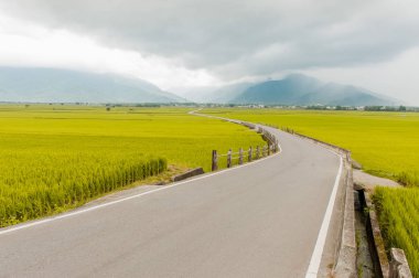 Brown Avenue, Chishan 'Da güzel pirinç tarlalarının peyzaj görünümü