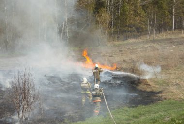 Orman yangını Üç itfaiye civarı yangını söndürdü. Yatay p