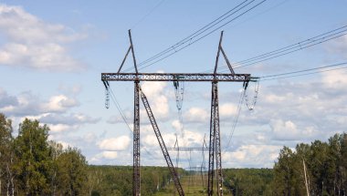 Yüksek voltajlı bir elektrik hattı ağaçların arasında bir açıklık boyunca çalışır.