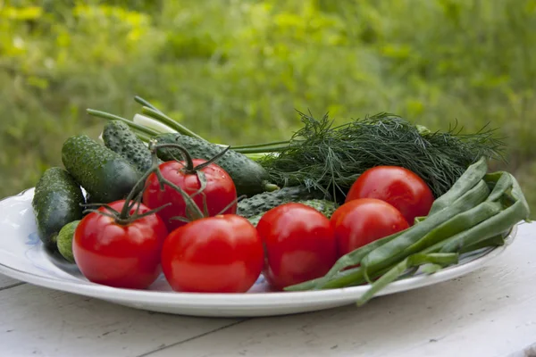 Verduras frescas y sabrosas del jardín yacen en un plato sobre un blanco —  Fotos de Stock