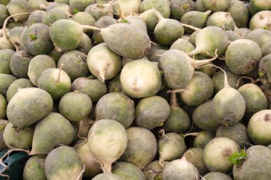 Büyük miktarlarda yeşil turpun arka planı. Düzgün beslenme, vejetaryenlik