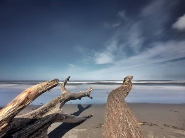 Sahilde mahsur kalan sandıklar