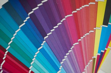 Alışılmadık açı görünümünde açılan çok renkli yarım daireli numune paleti